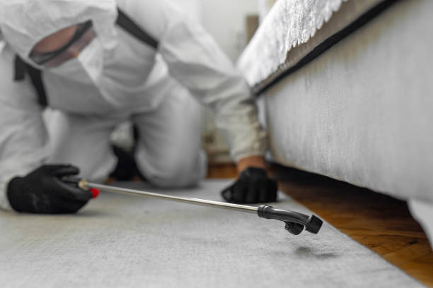 Professional Bed Bug Control technician working in Indianapolis, IN